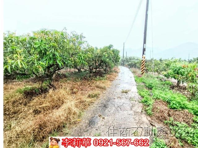 台南楠西農地-7