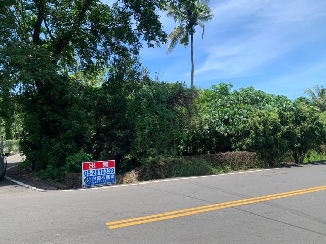 嘉義中埔農地-3