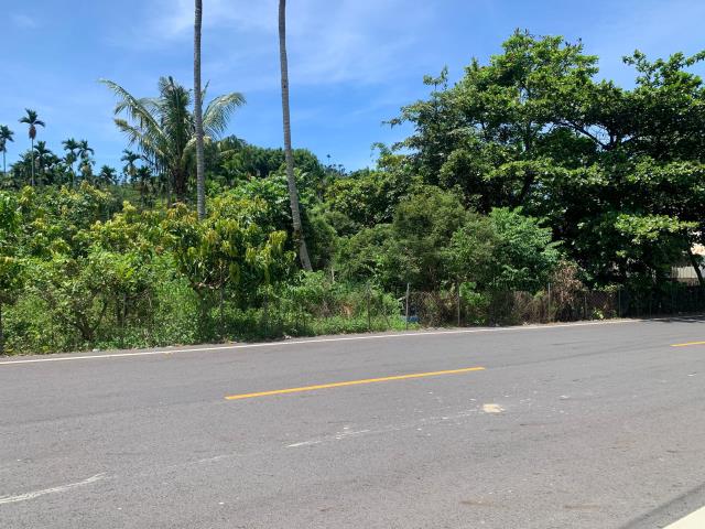 嘉義中埔農地-5