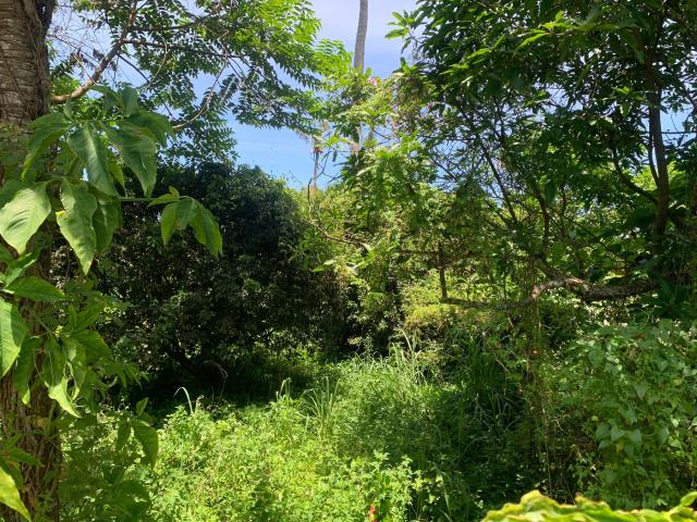 嘉義中埔農地-8