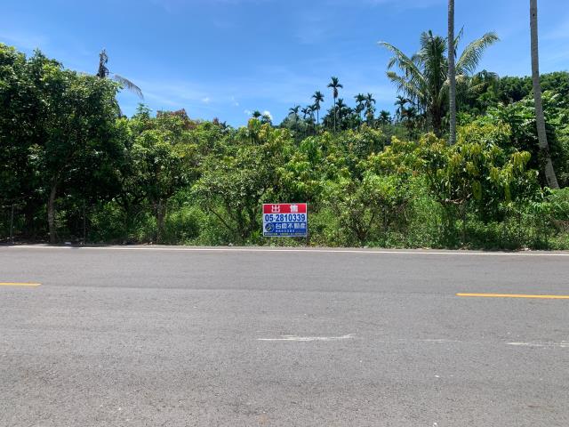 嘉義中埔農地-9