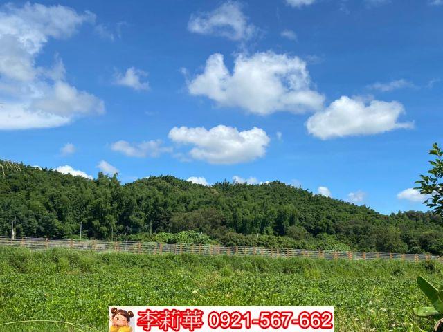 六甲農地-12