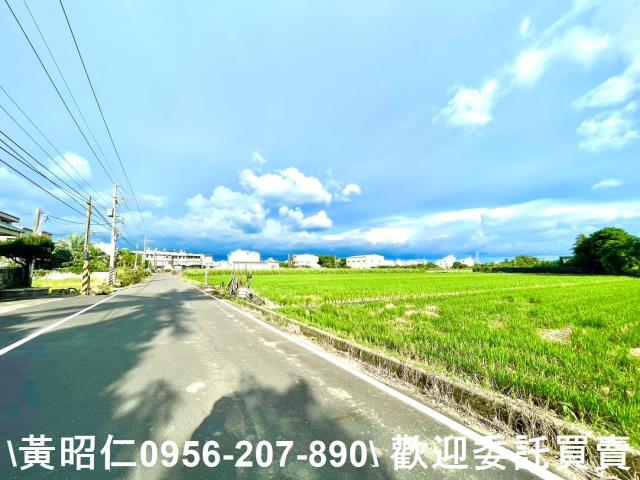 善化農地-2