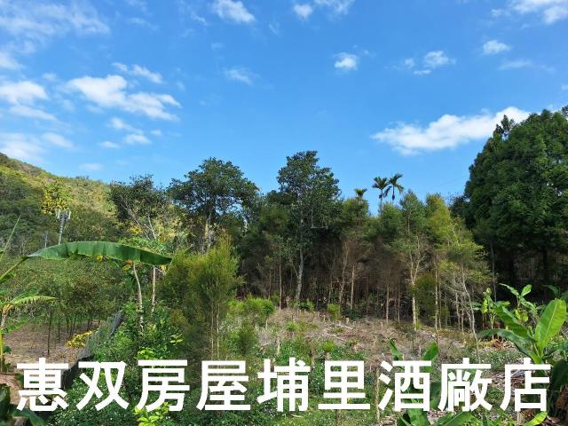 魚池農地-5