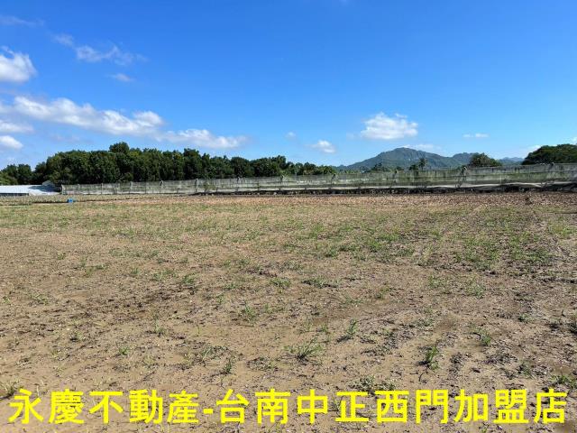玉井農地-1