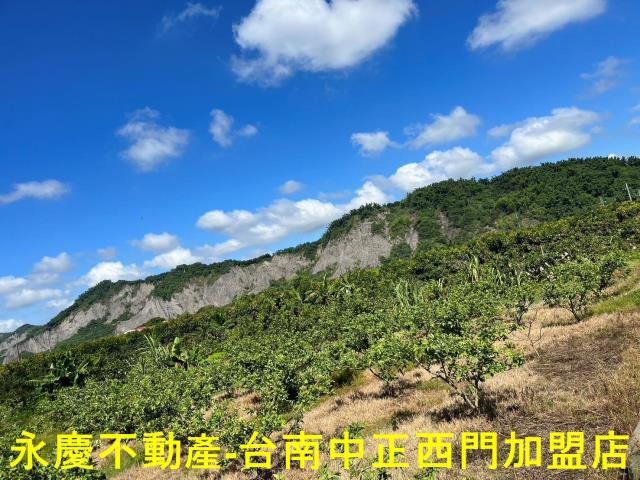 玉井農地-4