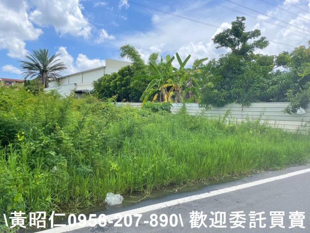 台南仁德農地-10