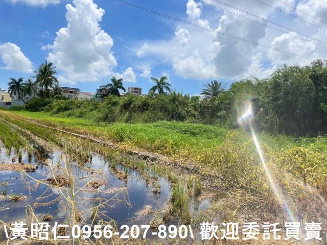 台南仁德農地-5