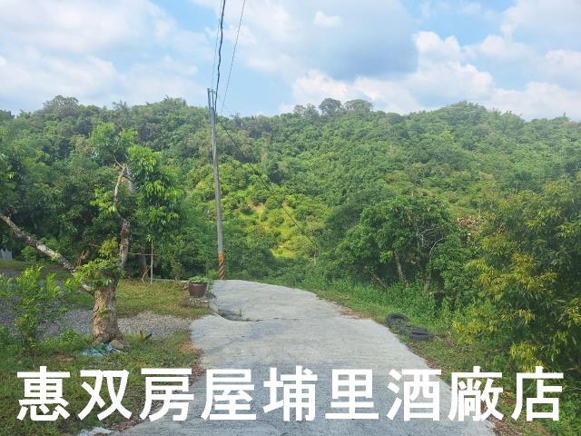 南投市農地-4