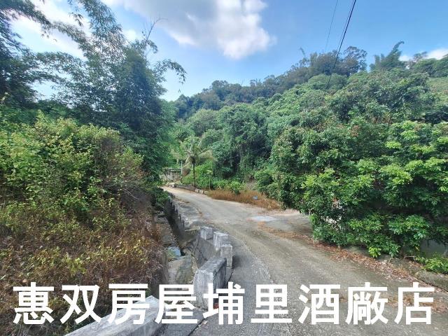 南投市農地-8