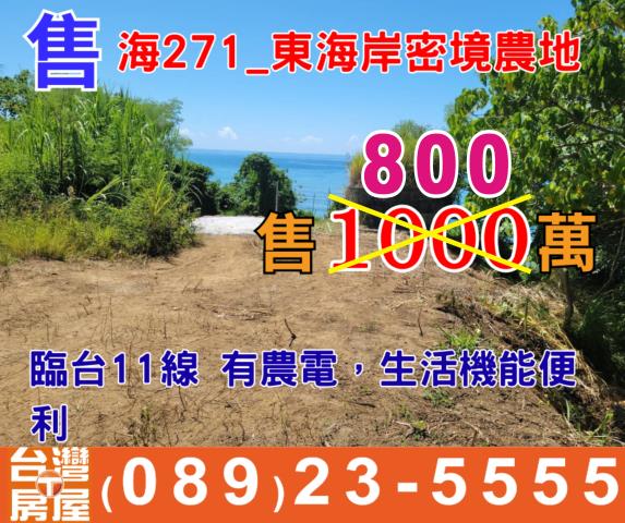 台東農地-1