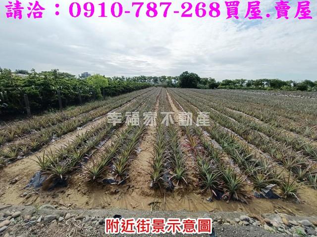 新化農地-12