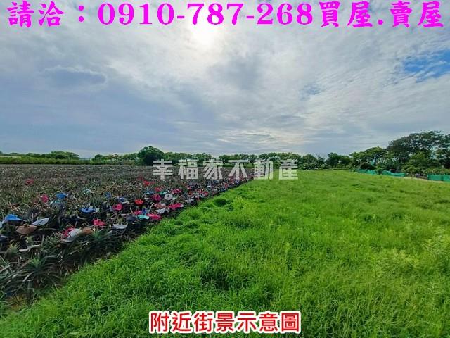 新化農地-6