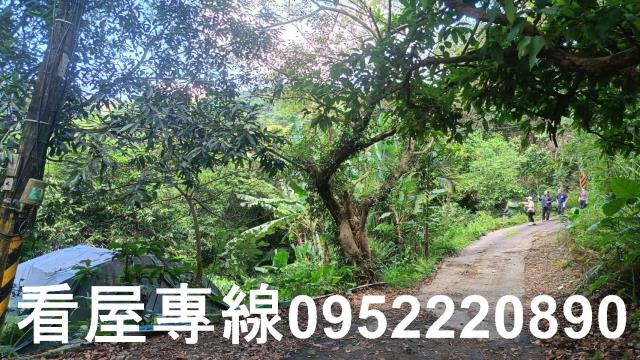 新北三峽山坡地-2