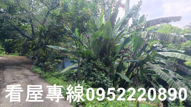 新北三峽山坡地-3