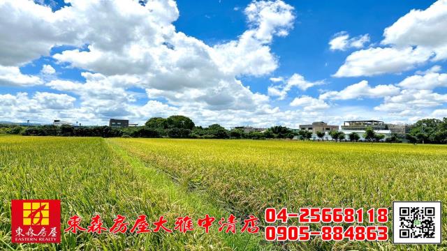 台中神岡農地-1