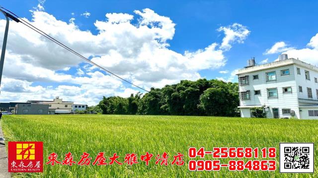 台中神岡農地-2