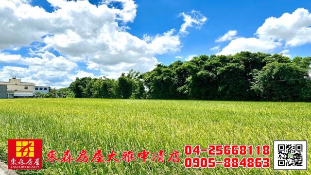 台中神岡農地-3