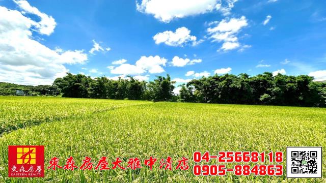 台中神岡農地-4