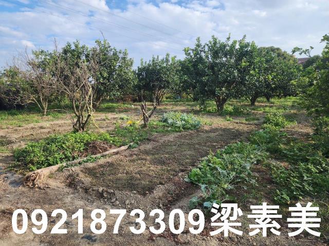 台南麻豆工業地-1