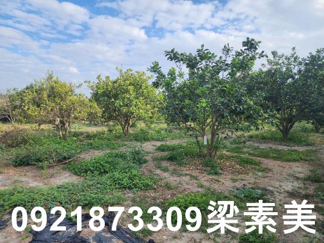 台南麻豆工業地-2