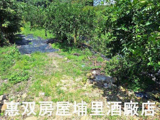埔里農地-3