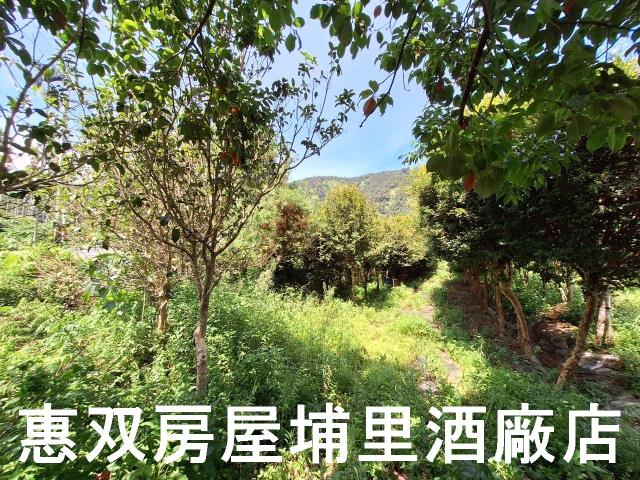 埔里農地-4