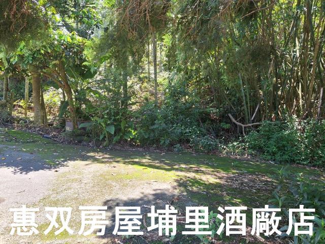 魚池農地-3