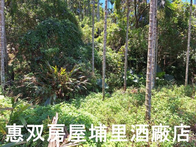 魚池農地-7