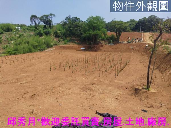 淡水農地-4
