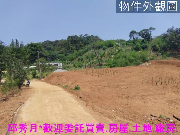 淡水農地-7