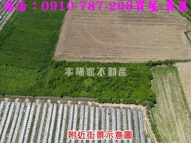 新市農地-12
