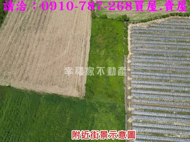 新市農地-13