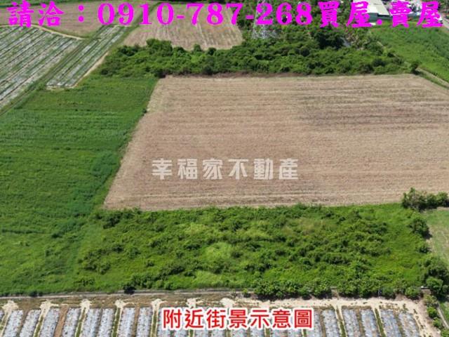 新市農地-5