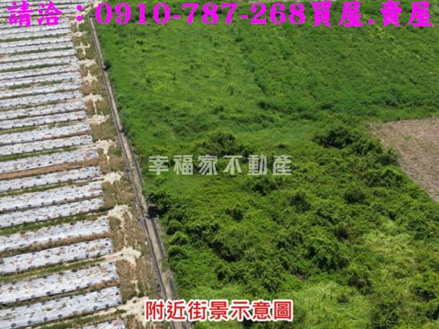 新市農地-7