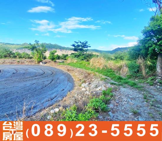 台東台東市農地-10