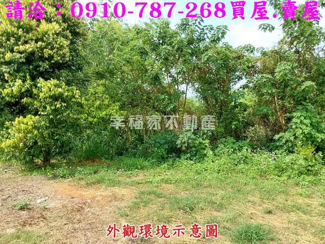 台南南化農地-9