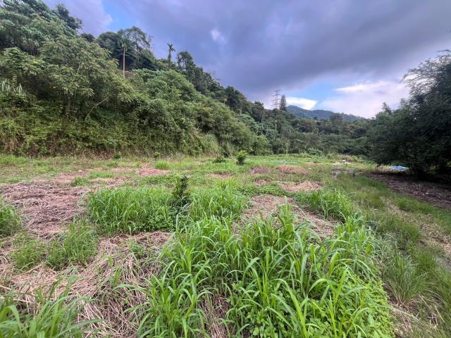 南投山坡地-1