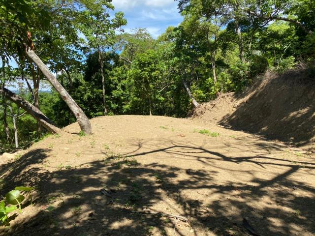 台中太平山坡地-10