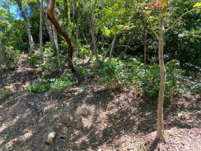 台中太平山坡地-9