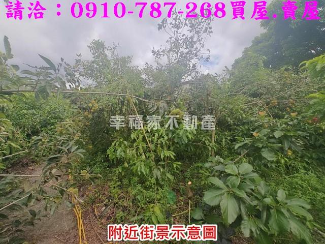 台南農地-11
