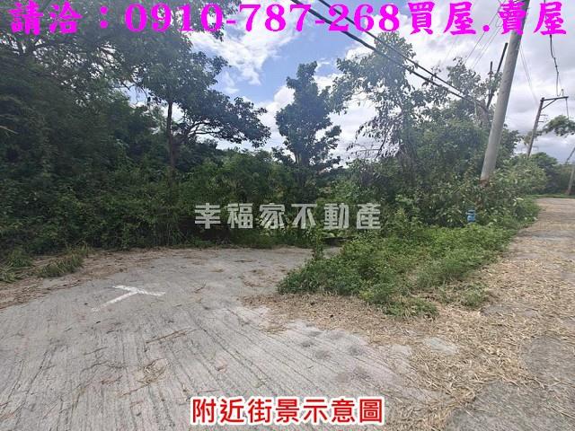台南農地-2