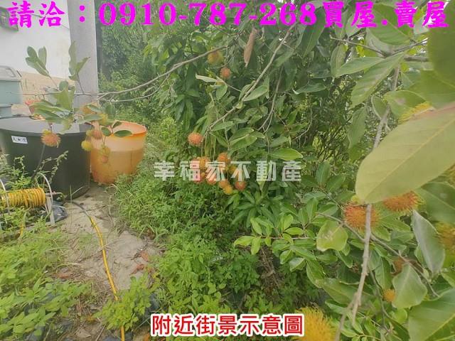 台南農地-9