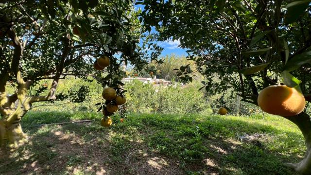 新竹峨眉農地-4