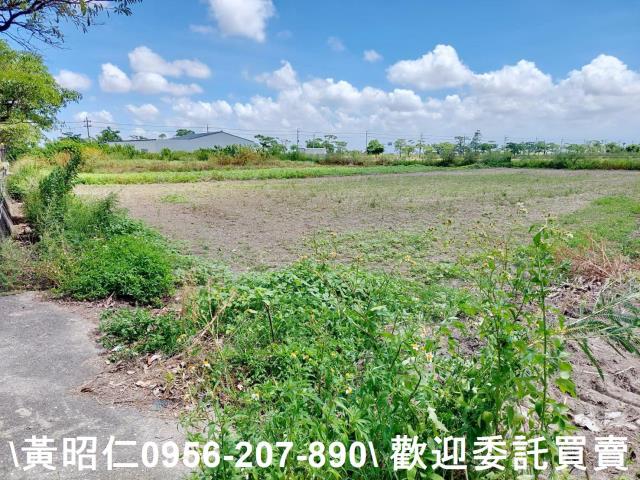 台南佳里農地-5