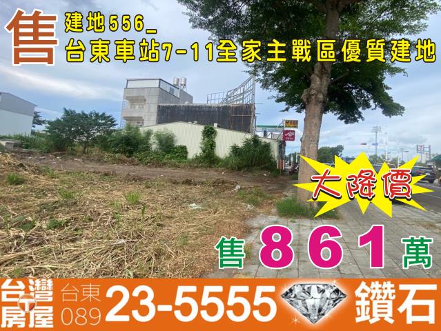 台東建地-1