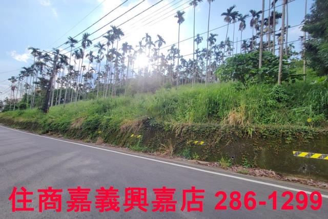 嘉義中埔農地-2