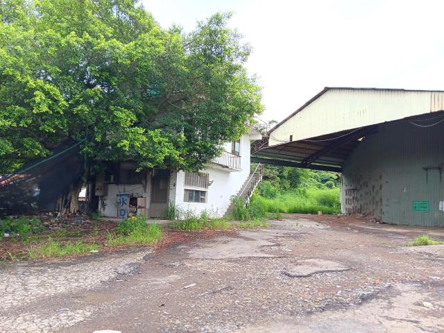 新北農地-4