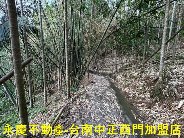 台南林地-9