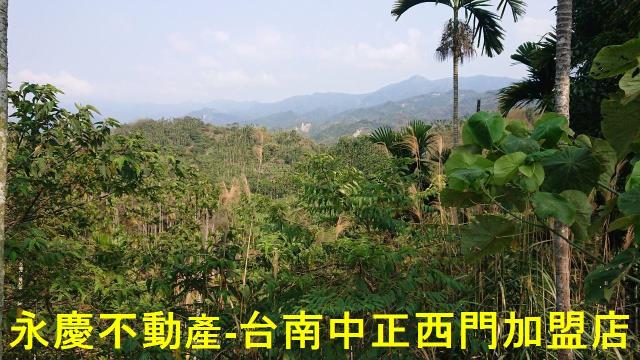 台南白河林地-7